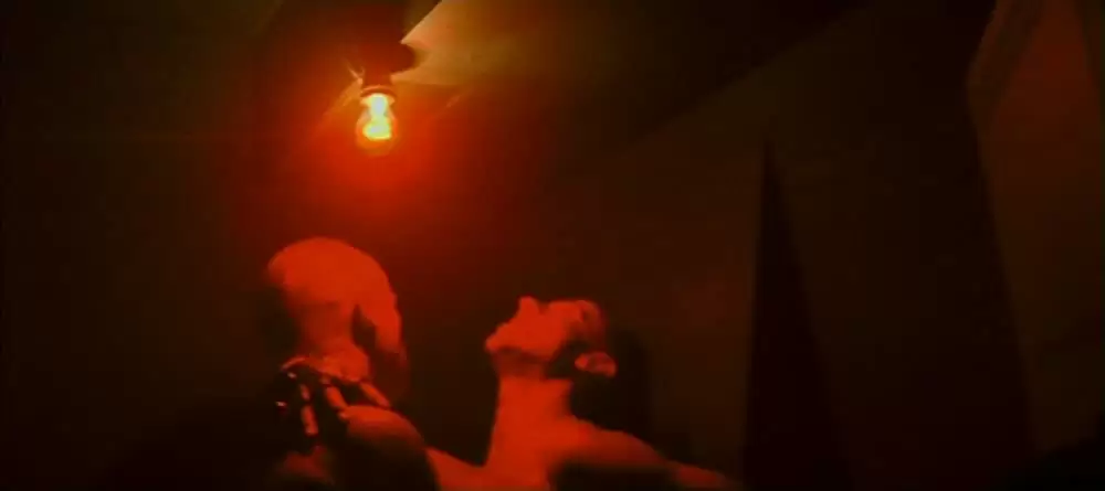 「アレックス」の画像