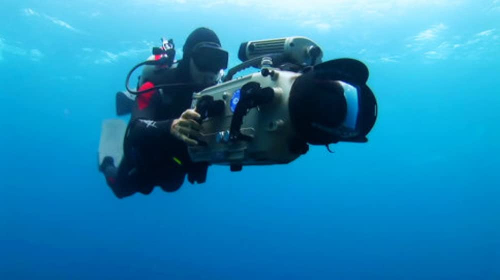 シャークウォーター 神秘なる海の世界の画像