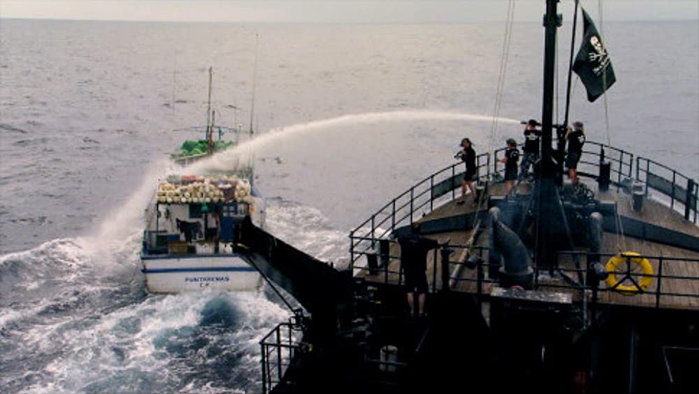 シャークウォーター 神秘なる海の世界の画像