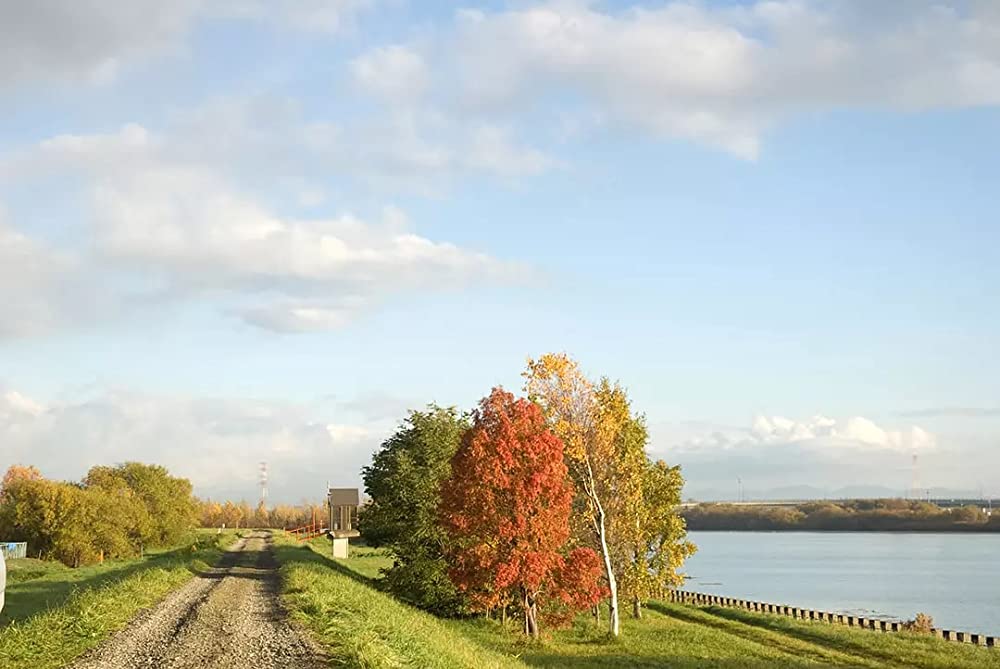 ハルフウェイの画像