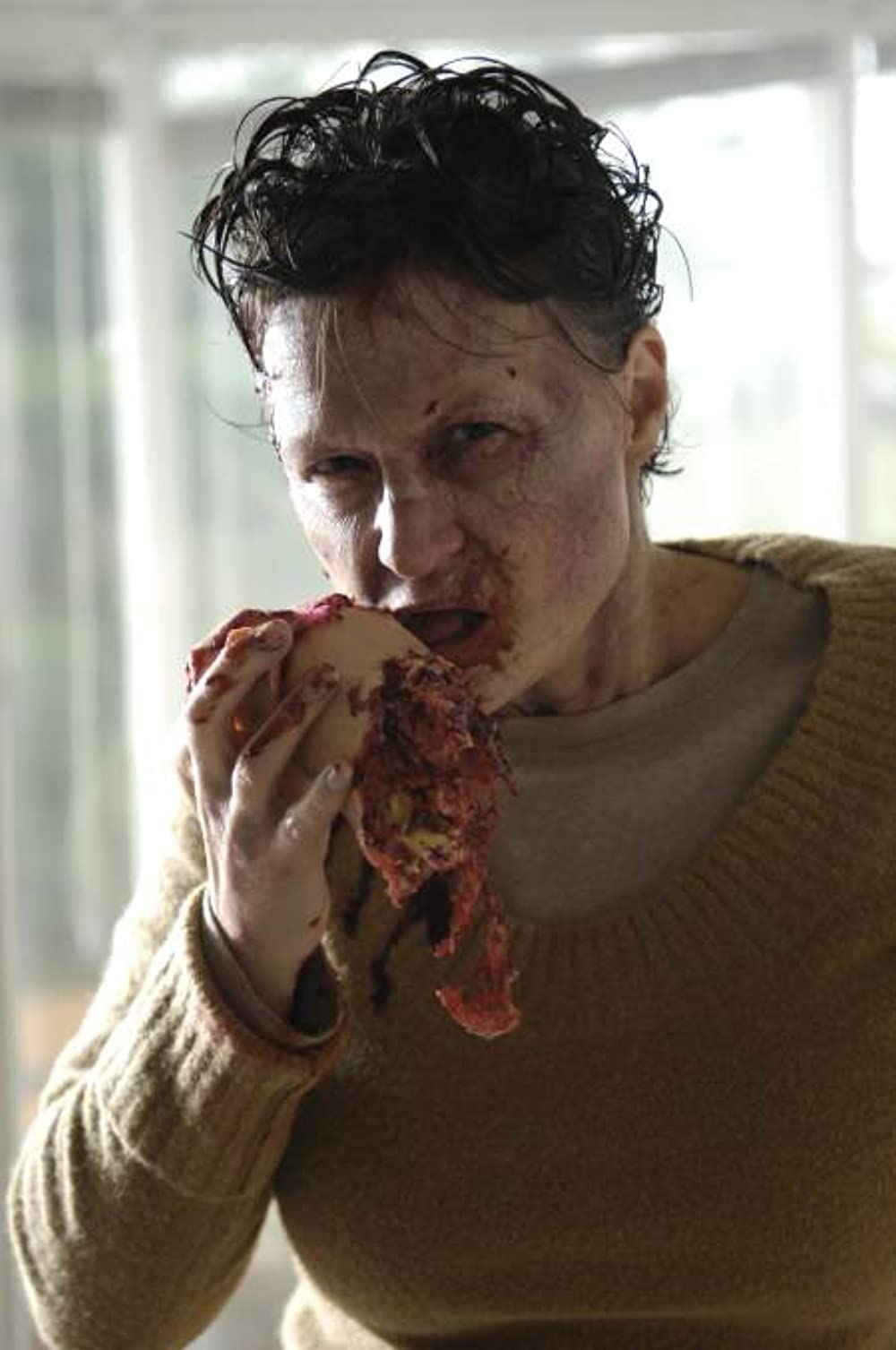 ダイアリー・オブ・ザ・デッドの画像