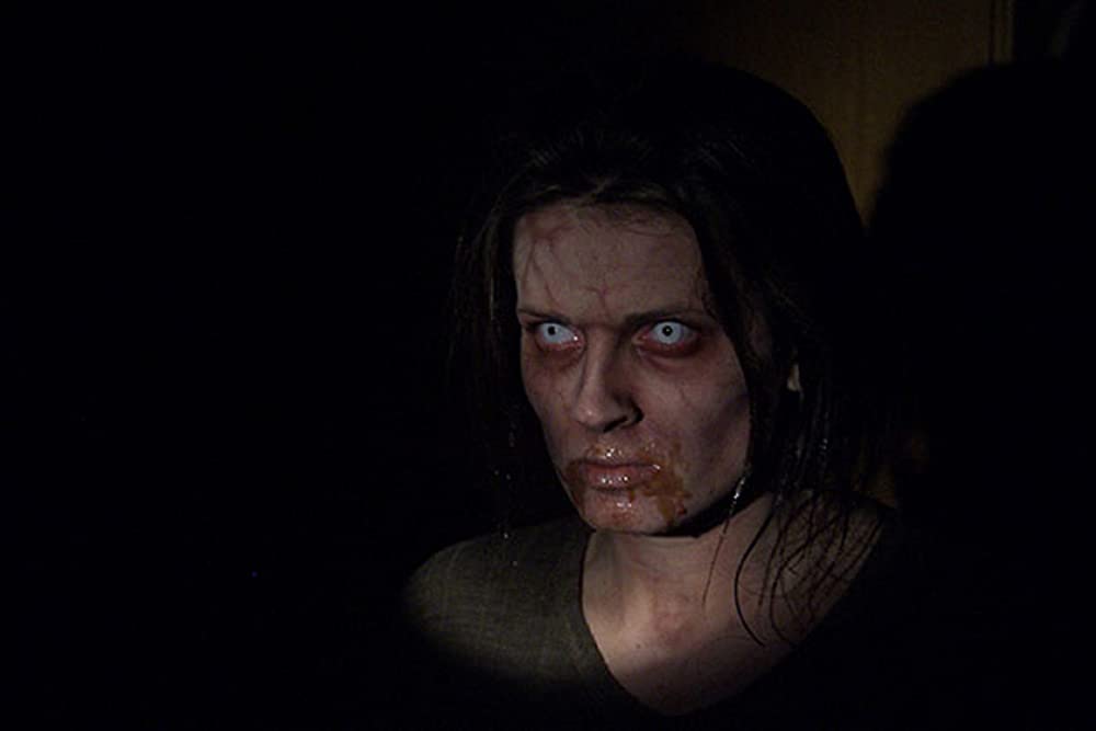 ダイアリー・オブ・ザ・デッドの画像