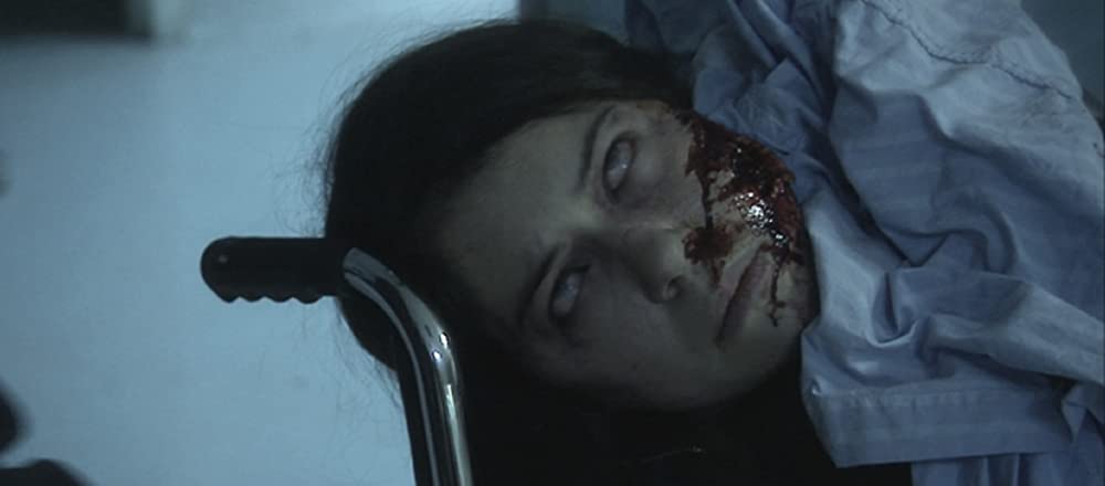 ダイアリー・オブ・ザ・デッドの画像