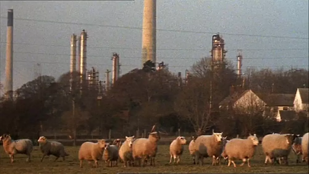 24アワー・パーティ・ピープルの画像