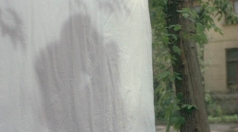 初恋の想い出の画像