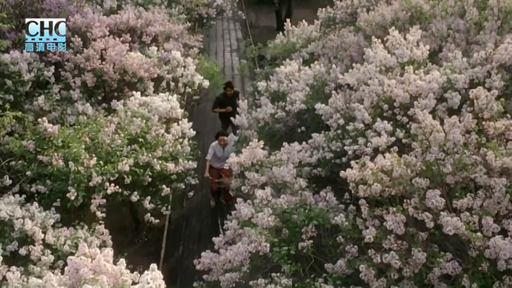 初恋の想い出の画像