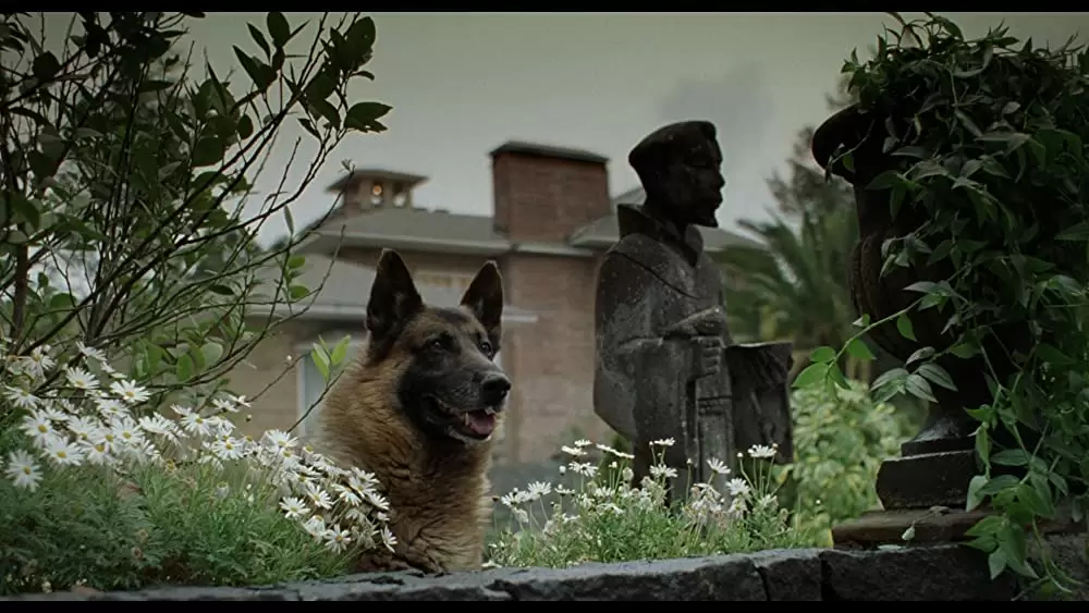 天国の口、終りの楽園。の画像