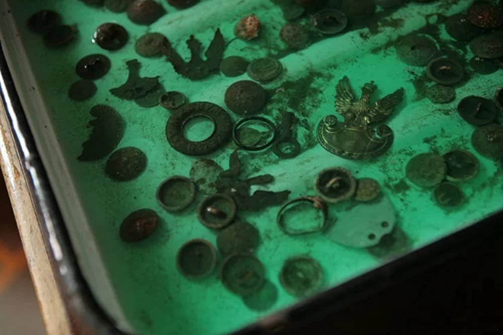 カティンの森の画像