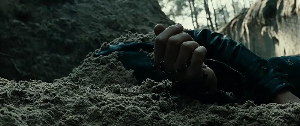 カティンの森の画像