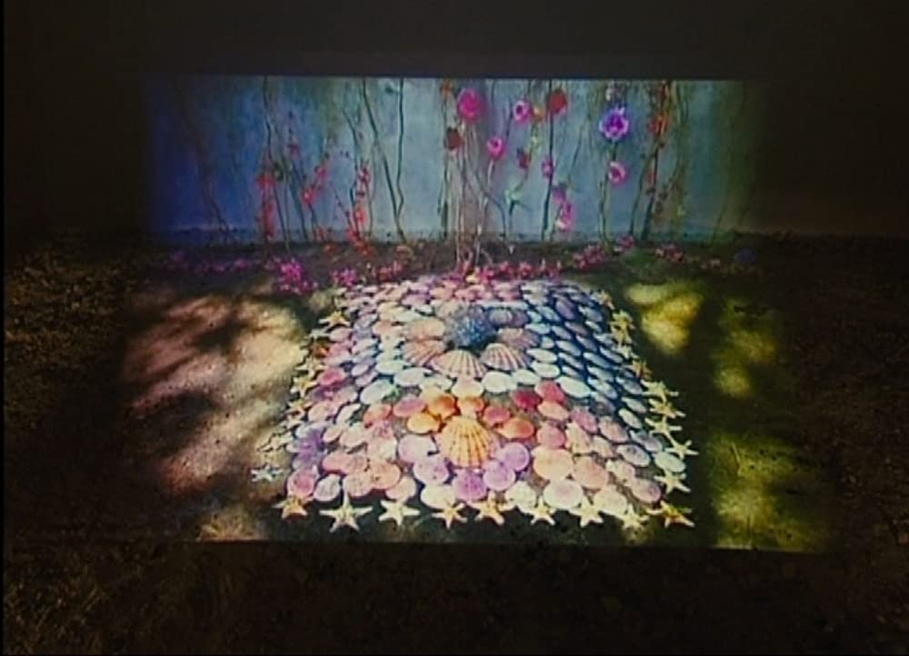 アニエスの浜辺の画像