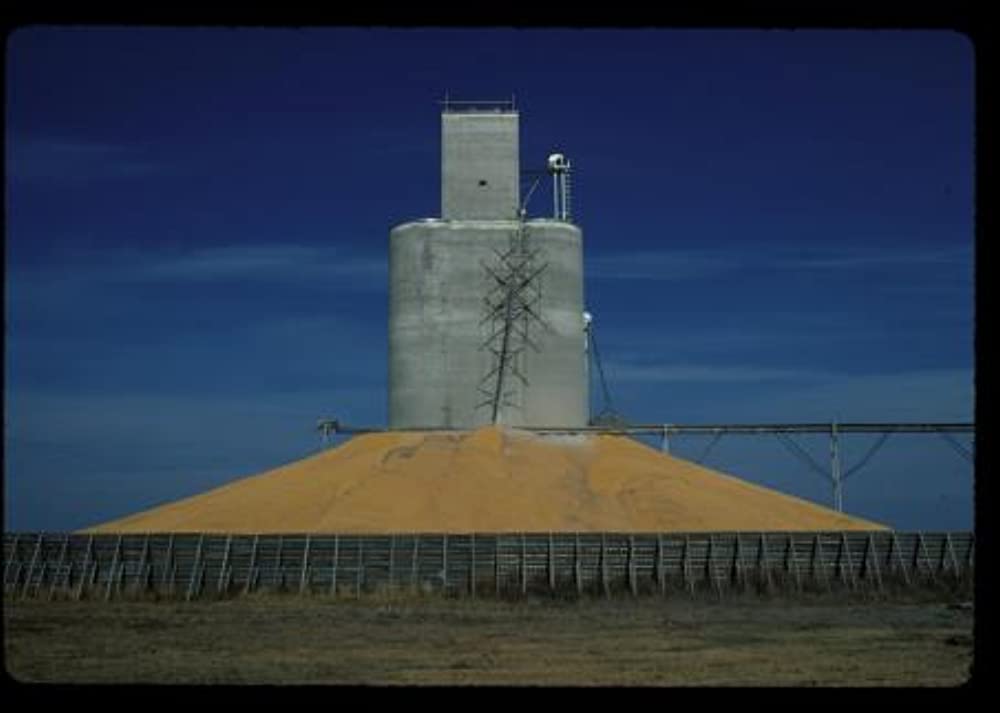 キング・コーン 世界を作る魔法の一粒の画像