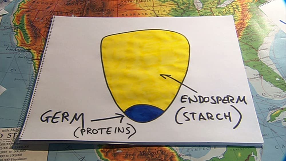 キング・コーン 世界を作る魔法の一粒の画像