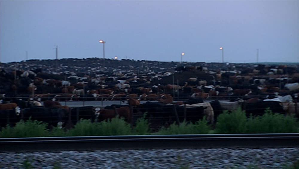 キング・コーン 世界を作る魔法の一粒の画像