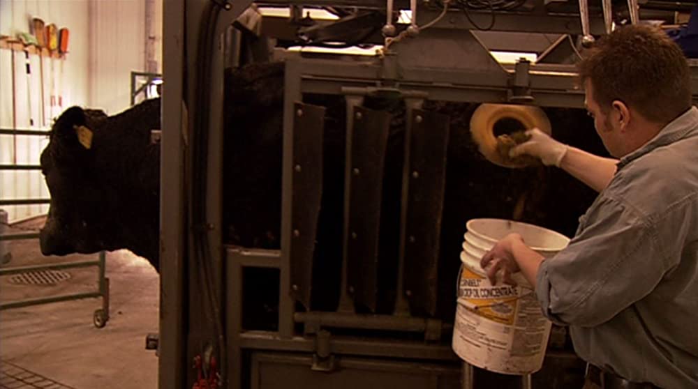 キング・コーン 世界を作る魔法の一粒の画像