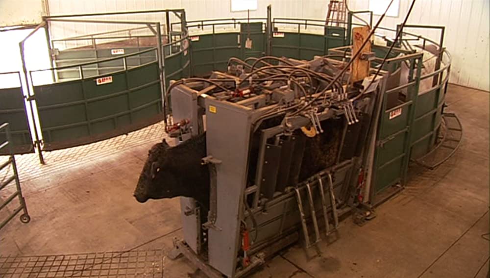 キング・コーン 世界を作る魔法の一粒の画像