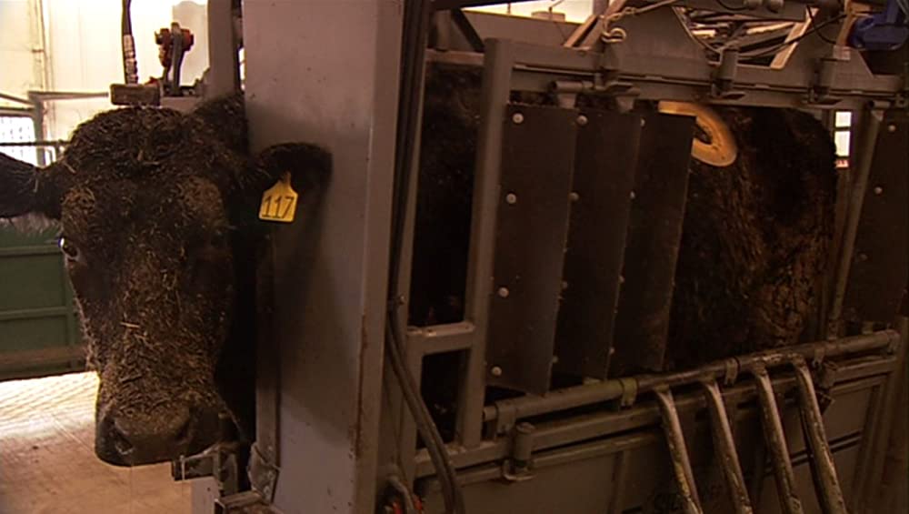 キング・コーン 世界を作る魔法の一粒の画像