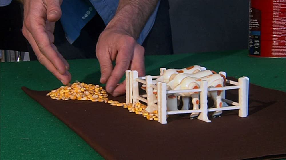 キング・コーン 世界を作る魔法の一粒の画像