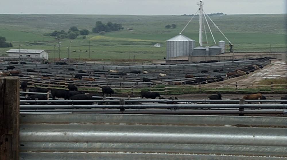 キング・コーン 世界を作る魔法の一粒の画像