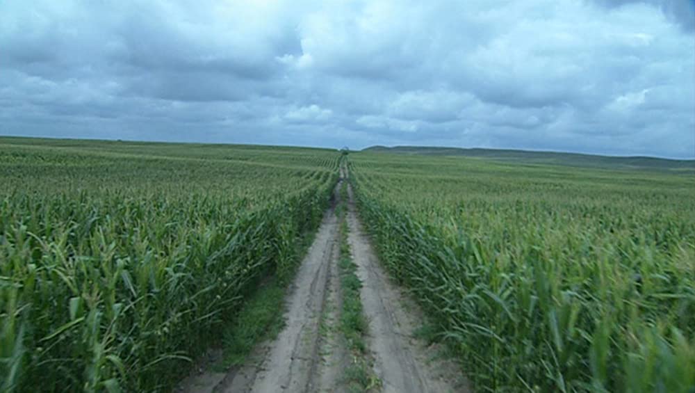 キング・コーン 世界を作る魔法の一粒の画像