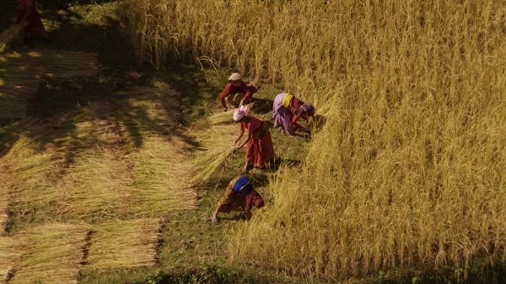 HOME 空から見た地球の画像