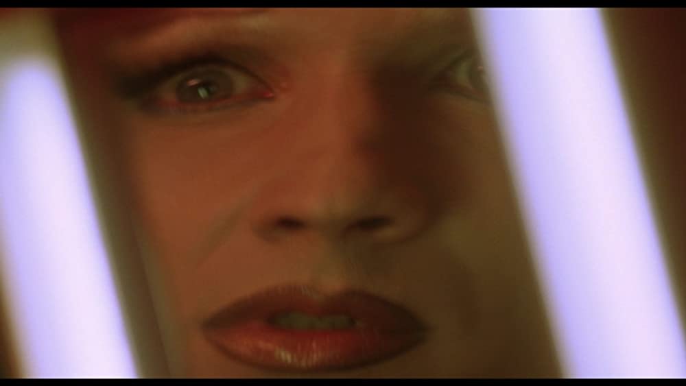 ヘドウィグ・アンド・アングリーインチの画像