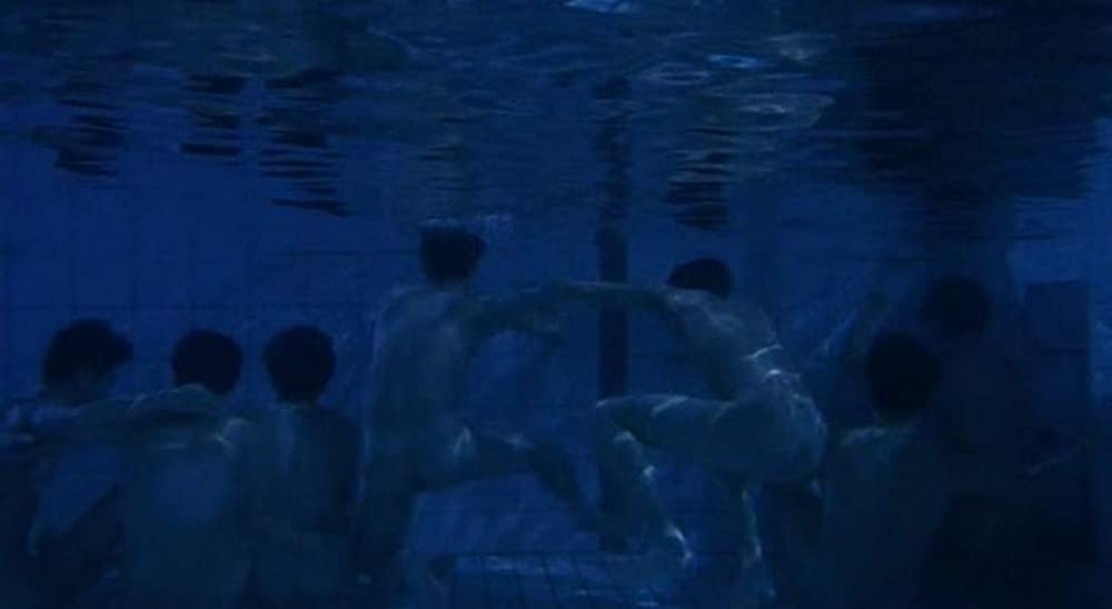 九月に降る風の画像