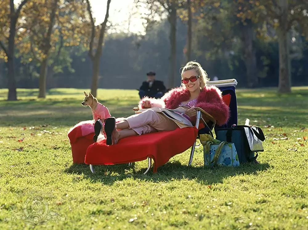 キューティ・ブロンドの画像