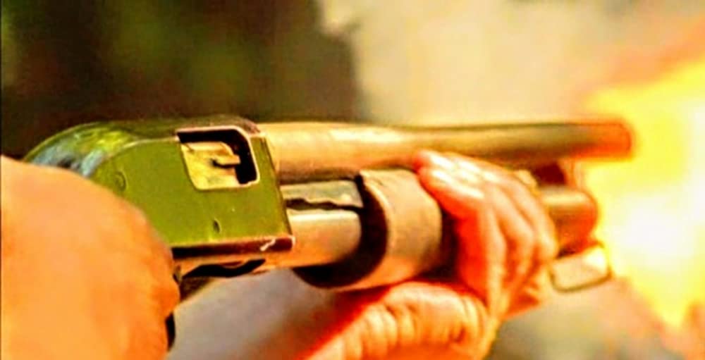 アナコンダ3の画像