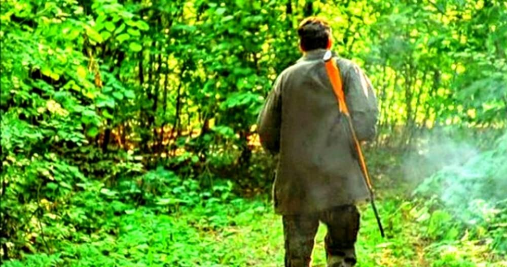 アナコンダ3の画像