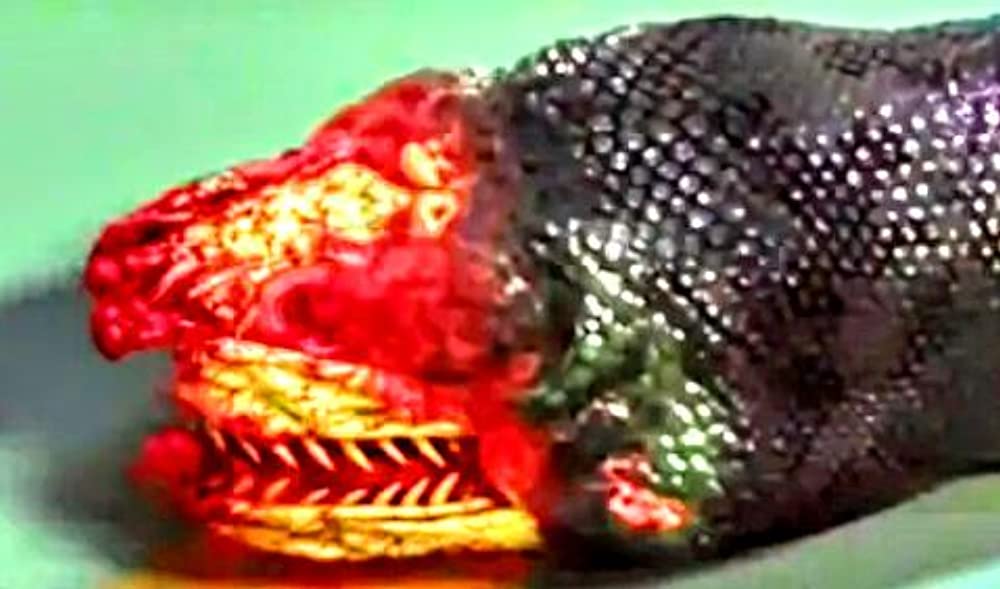 アナコンダ3の画像