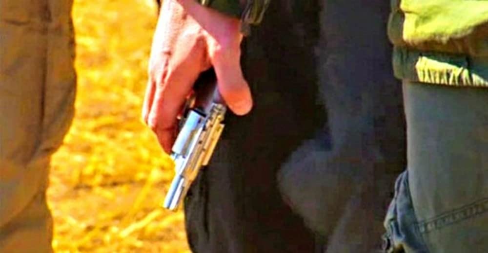 アナコンダ4の画像