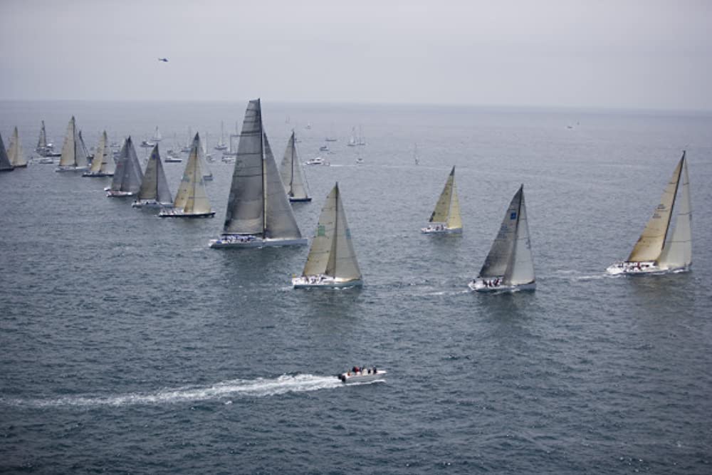 モーニング・ライトの画像