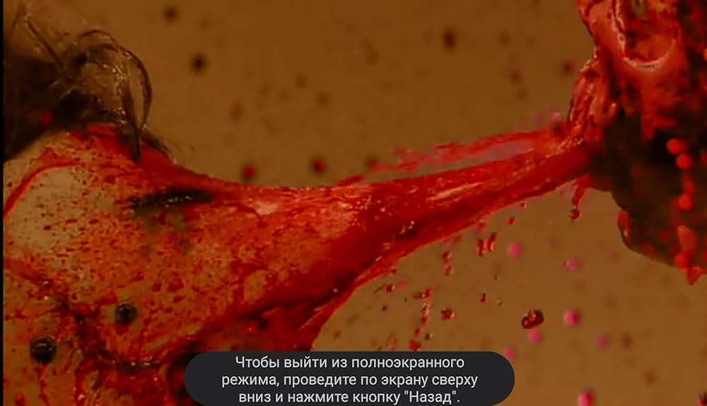 吸血少女対少女フランケンの画像