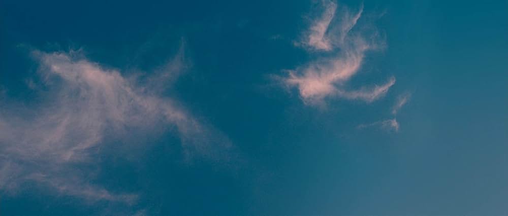 「グッド・バッド・ウィアード」の画像