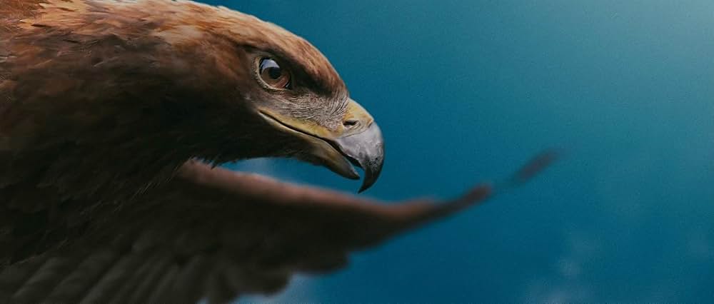 「グッド・バッド・ウィアード」の画像