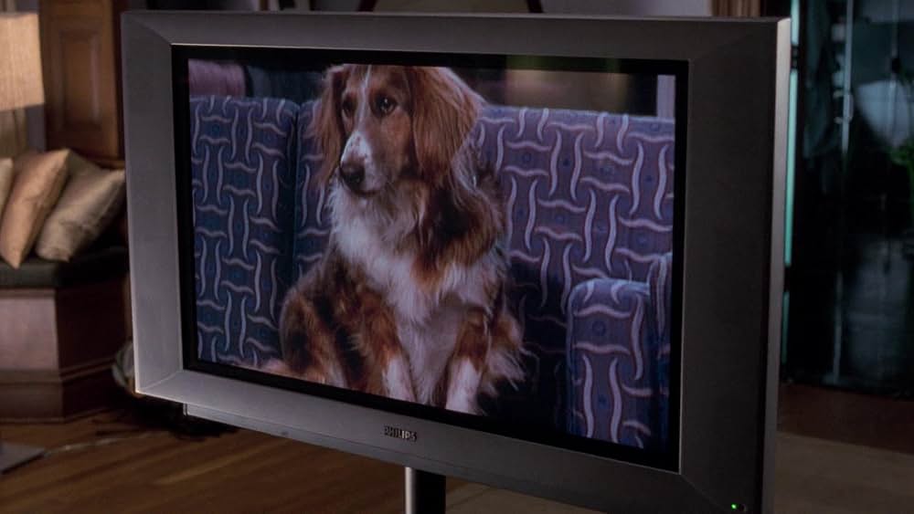 バニラ・スカイの画像