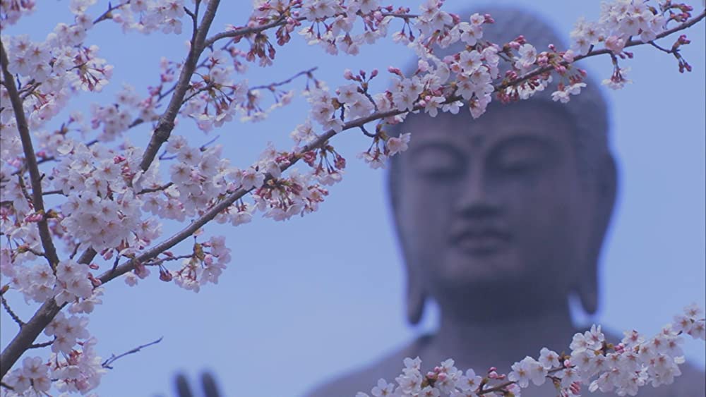 ロボゲイシャの画像