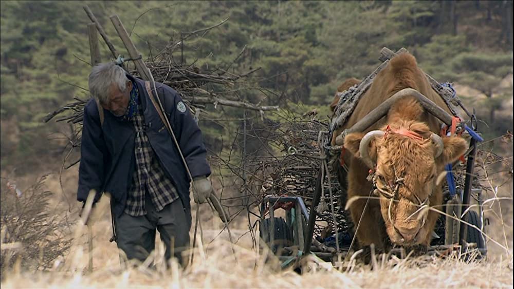 牛の鈴音の画像