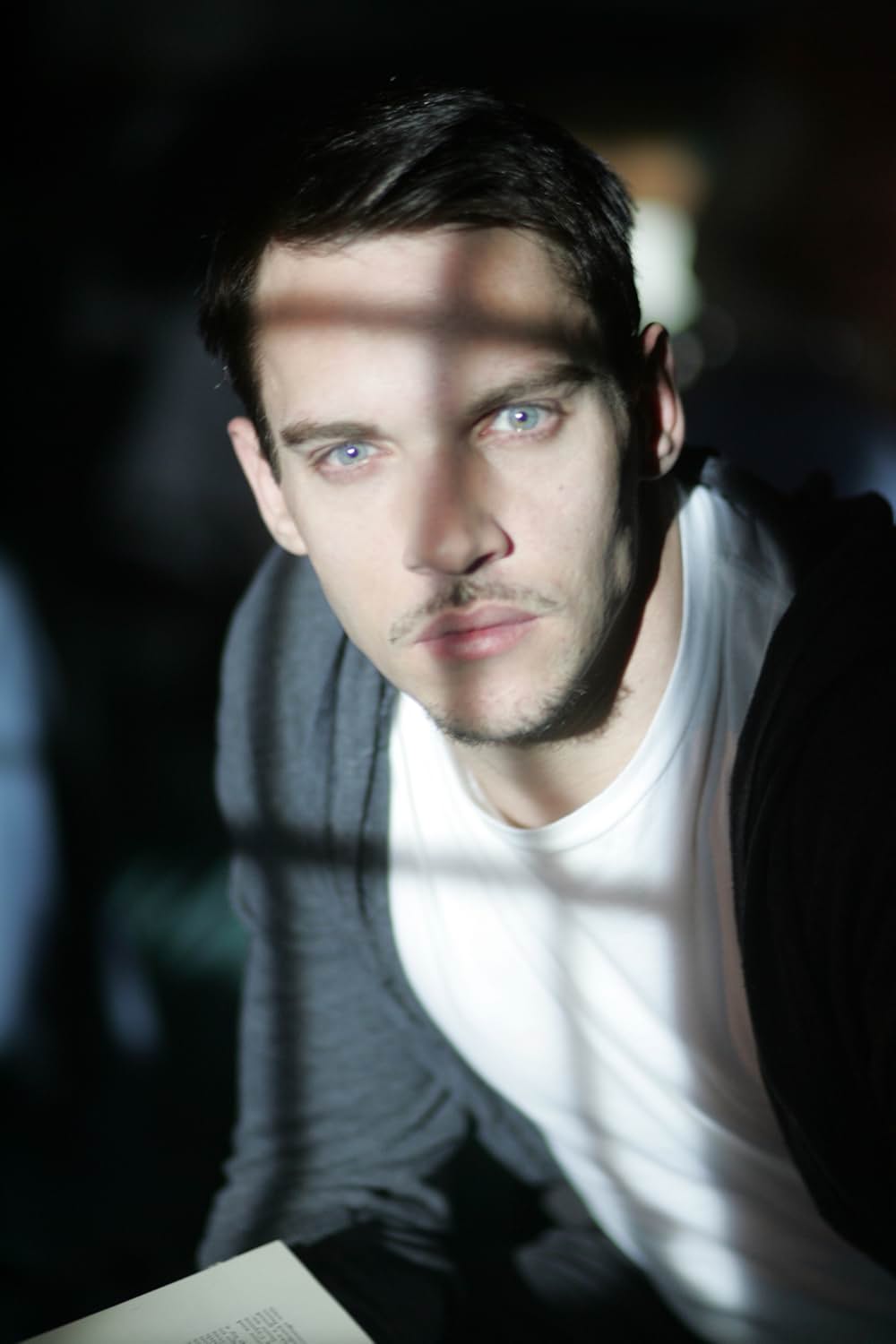 シェルターの画像