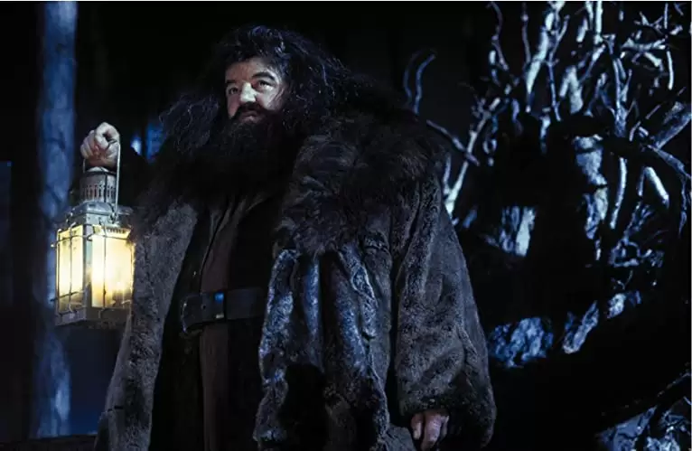 「ハリー・ポッターと賢者の石」ロビー・コルトレーンの画像