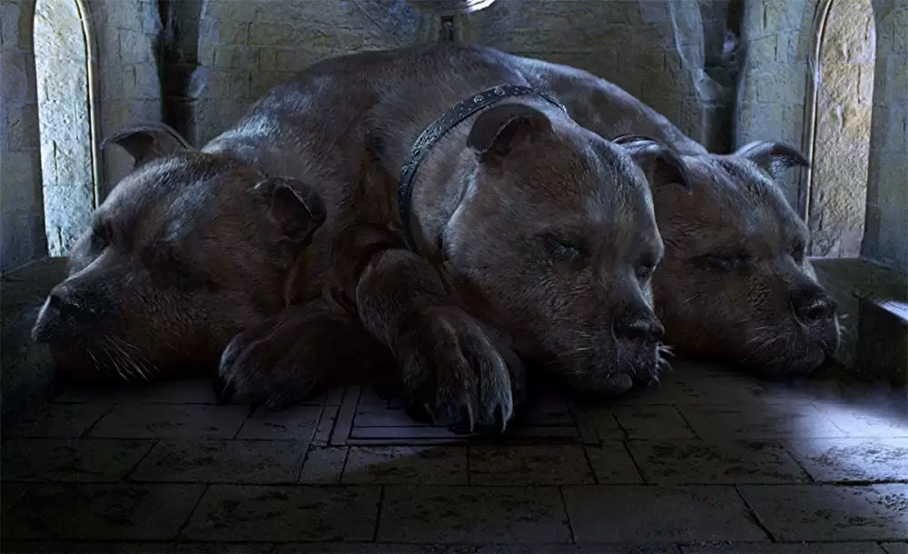 ハリー・ポッターと賢者の石の画像