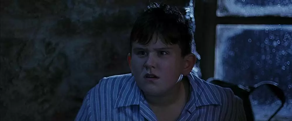 「ハリー・ポッターと賢者の石」ハリー・メリングの画像