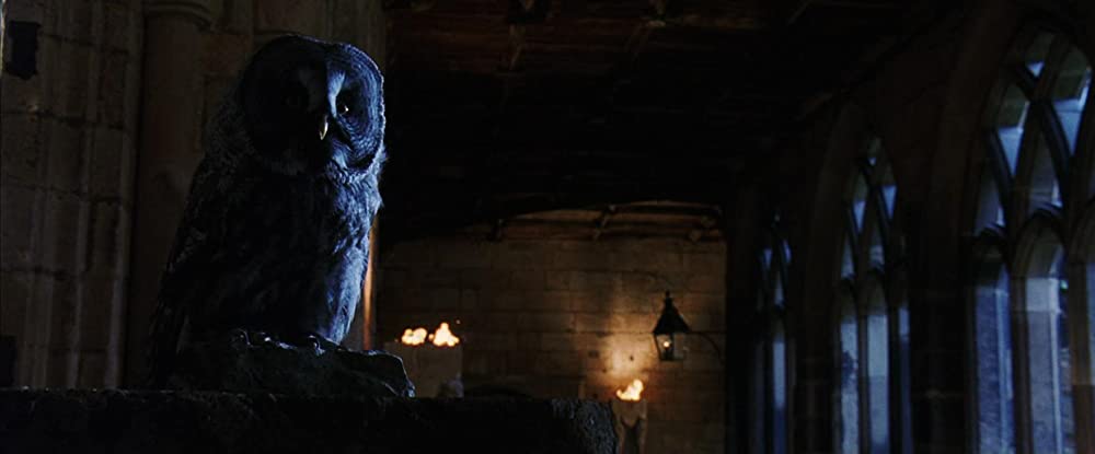 ハリー・ポッターと賢者の石の画像