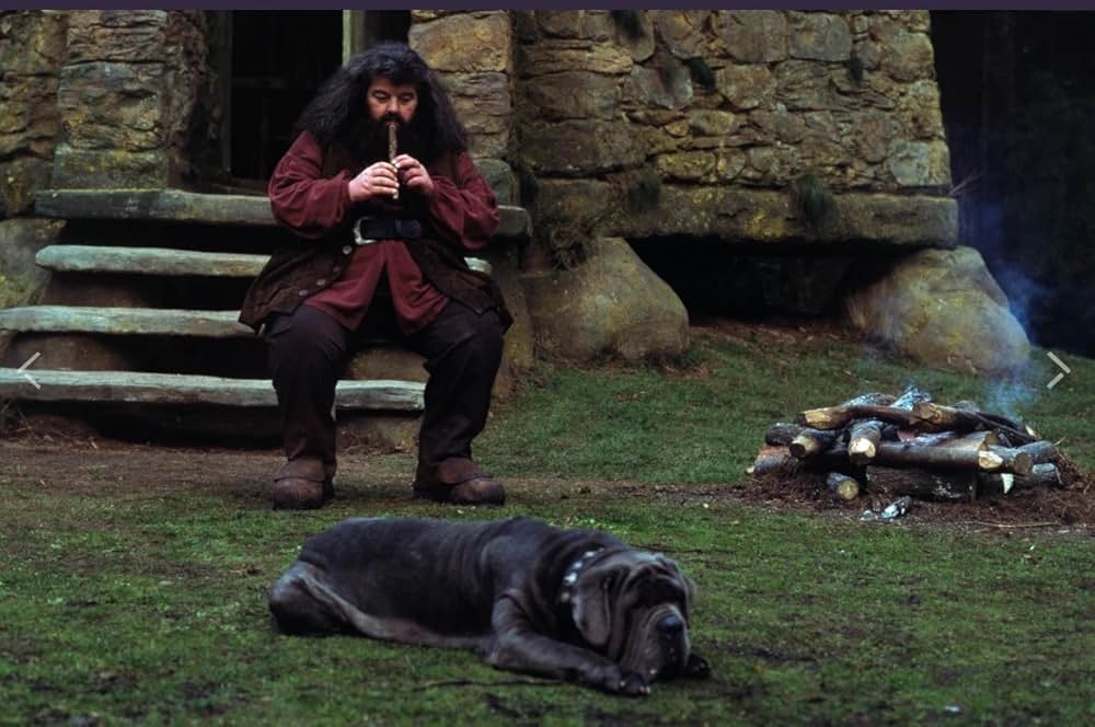 ハリー・ポッターと賢者の石の画像