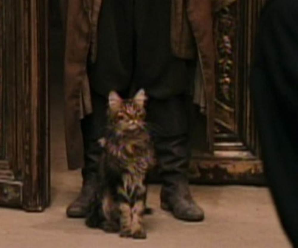 ハリー・ポッターと賢者の石の画像