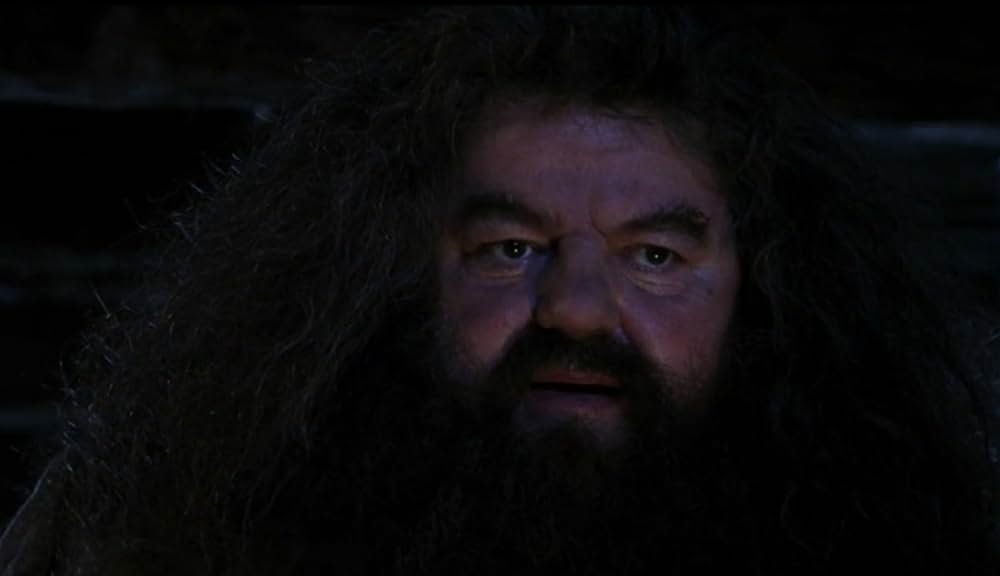 ハリー・ポッターと賢者の石の画像