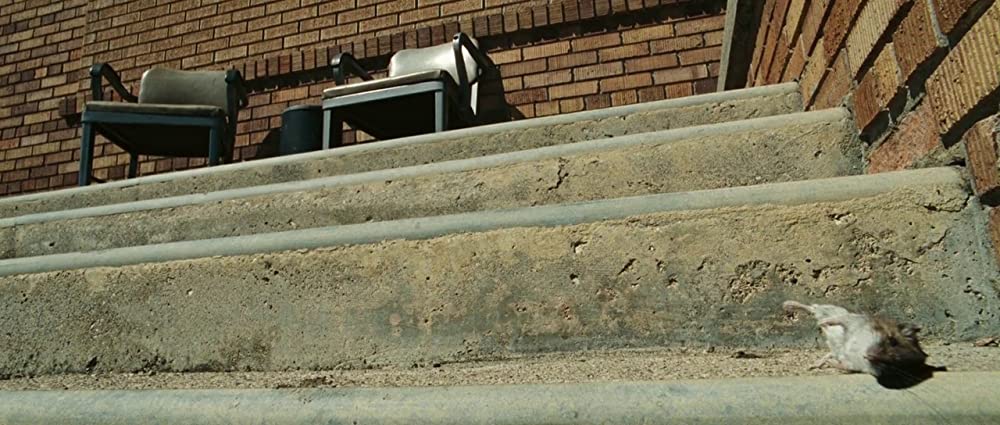 サベイランスの画像