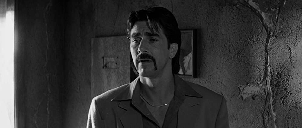 メメントの画像