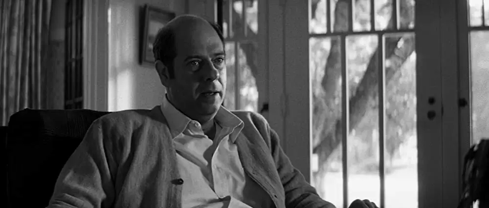 メメントの画像