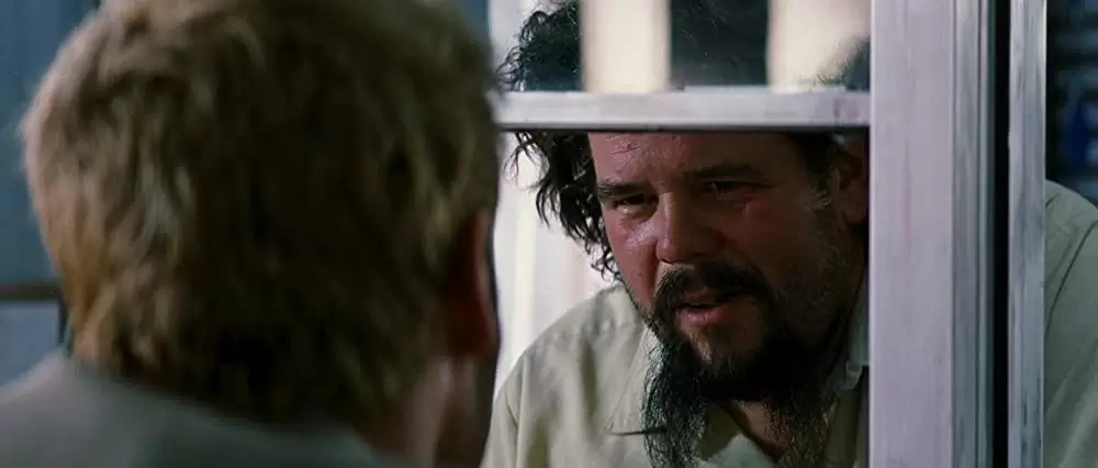 メメントの画像